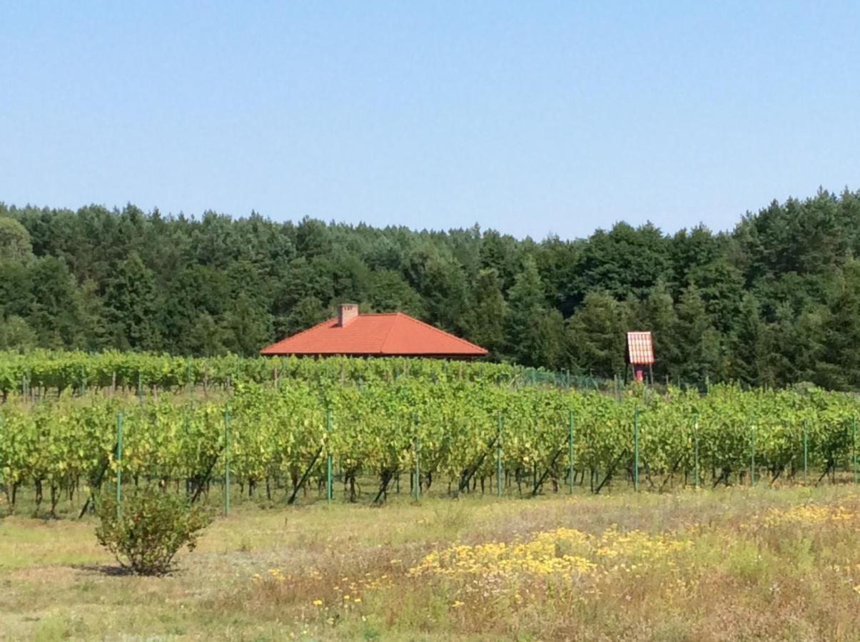 Winnica "Zabi Raj" Skarszewy Bagian luar foto